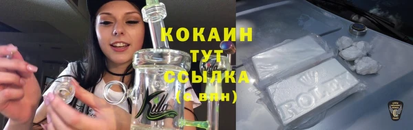 спиды Осинники