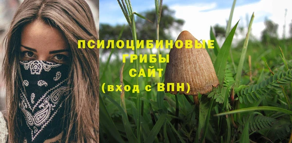 спиды Осинники