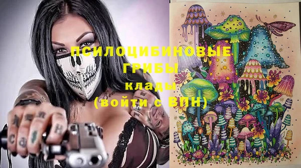 спиды Осинники