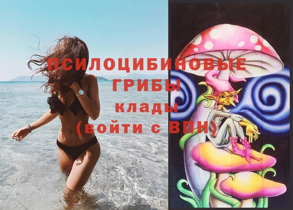 a pvp Осташков