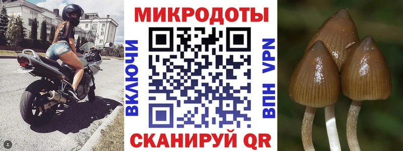 Псилоцибиновые грибы ЛСД  kraken вход  Яровое 