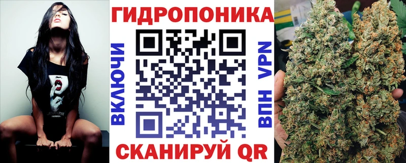 Конопля AK-47 Яровое